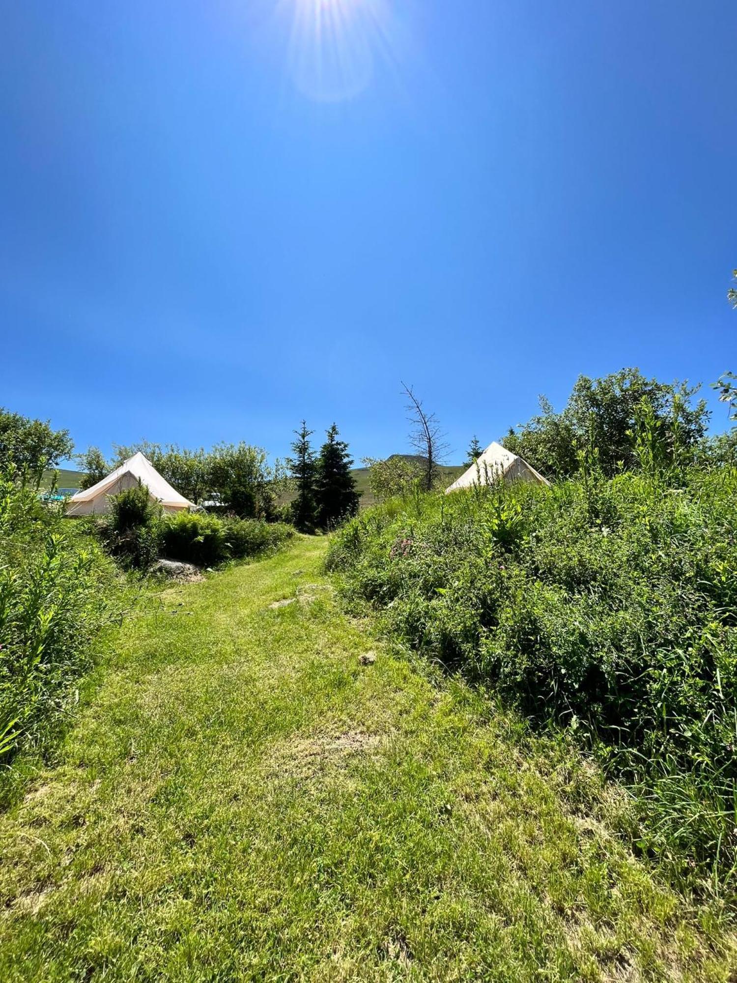 Refuge De La Banne Hotel Murat-le-Quaire Exterior photo